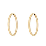 9kt Gold Hinged Hoop Earrings - 30mm